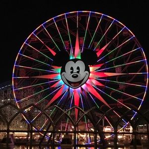 Meet your Posher, Bernys